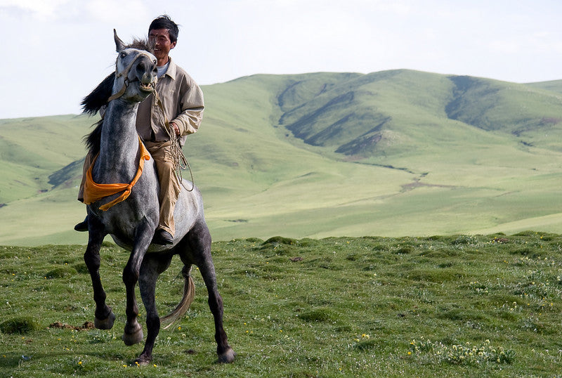 Tibetan & Buddhist – Free Tibet shop