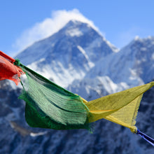 Load image into Gallery viewer, Medium Prayer Flags (String of 5)
