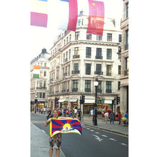 Load image into Gallery viewer, Tibetan national flag
